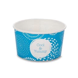 2 Scoop Wax Paper Ice Cream Tubs